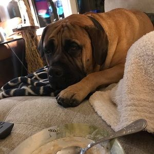 Meet your Posher, Steph